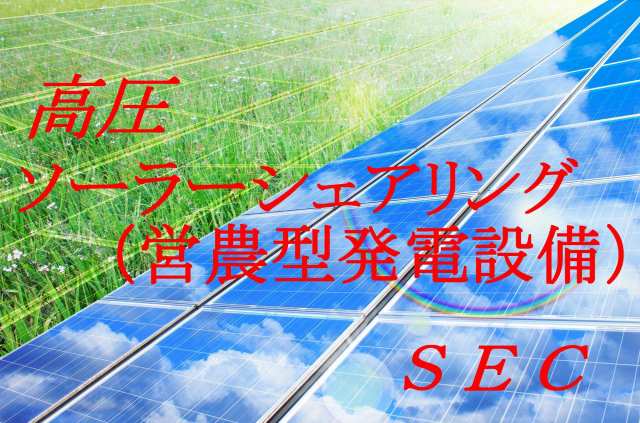 高圧ソーラーシェアリング（営農型太陽光発電所）