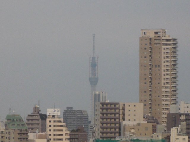 新宿区　中古マンション