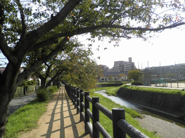 春には近隣の桜並木が人気スポット♪桜並木の遊歩道でお散歩、ジョギングなど楽しそう♪