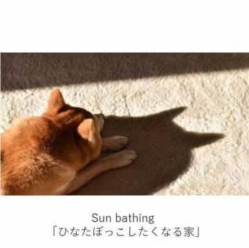 Sun bathing