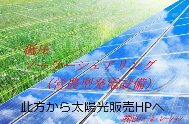 低圧ソーラーシェアリング（営農型太陽光発電所）